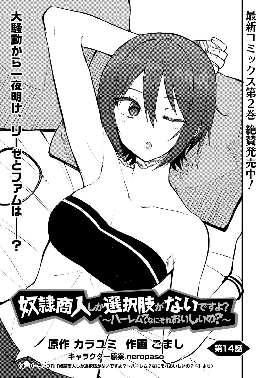 Dorei Shounin Shika Sentakushi ga Nai Desu yo? - Harem? Nani Sore Oishii no? - Chapter 14 - Page 1