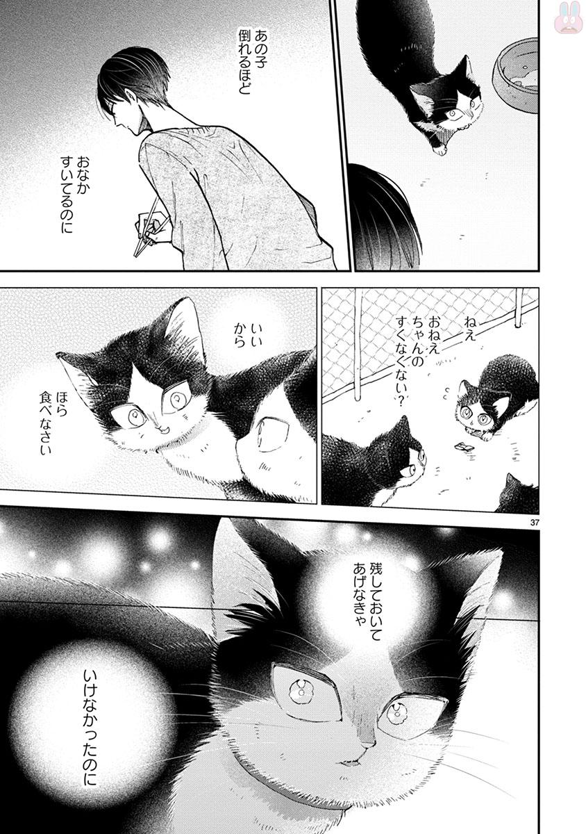 Doukyonin wa Hiza, Tokidoki, Atama no Ue. - Chapter 14.1 - Page 8