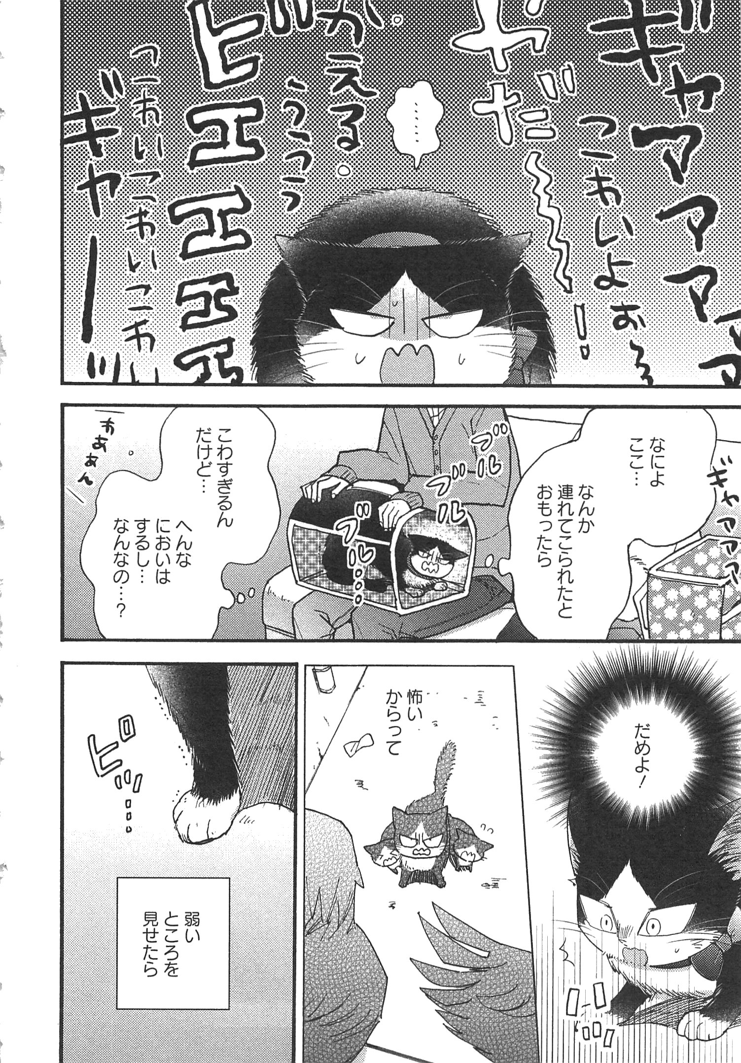 Doukyonin wa Hiza, Tokidoki, Atama no Ue. - Chapter 7.1 - Page 2