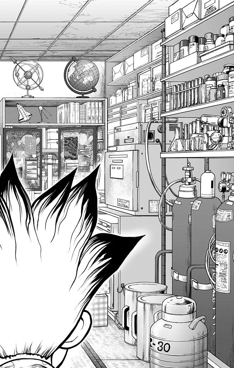 Dr. Stone - Chapter 10 - Page 4