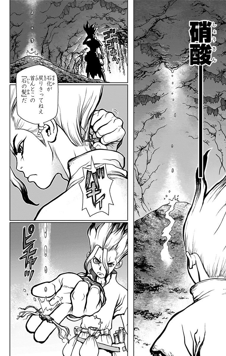 Dr. Stone - Chapter 14 - Page 10