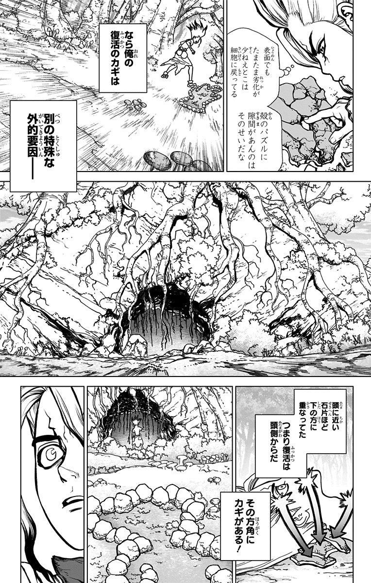 Dr. Stone - Chapter 14 - Page 9