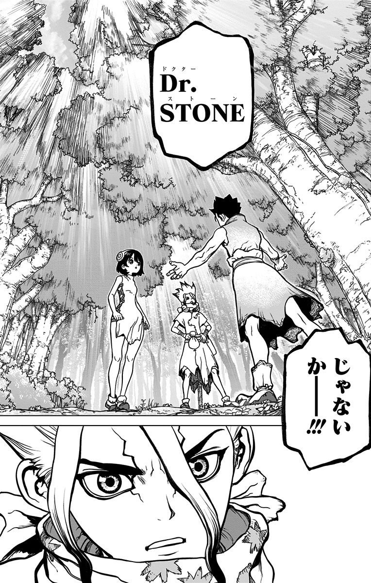 Dr. Stone - Chapter 15 - Page 8