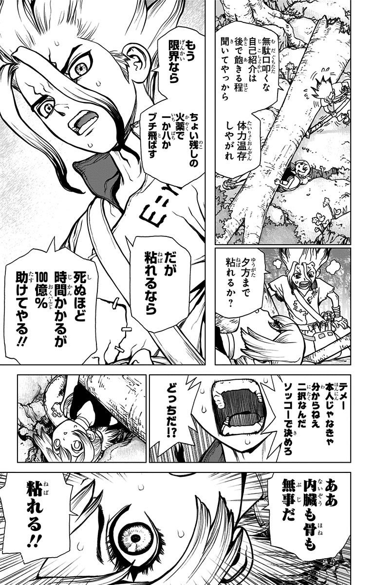 Dr. Stone - Chapter 16 - Page 13