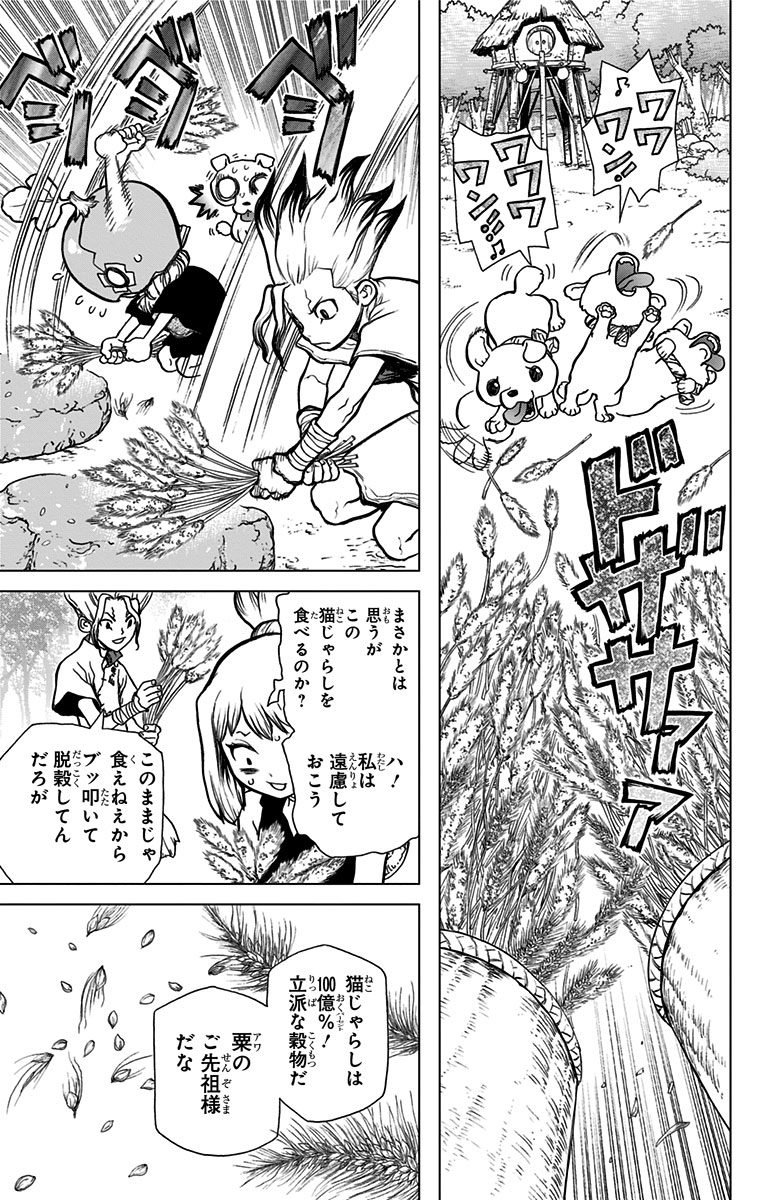 Dr. Stone - Chapter 22 - Page 11