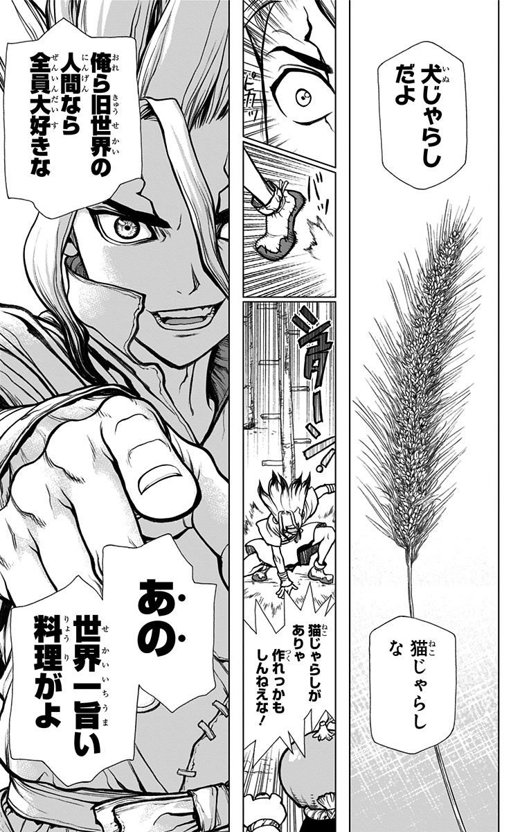 Dr. Stone - Chapter 22 - Page 9