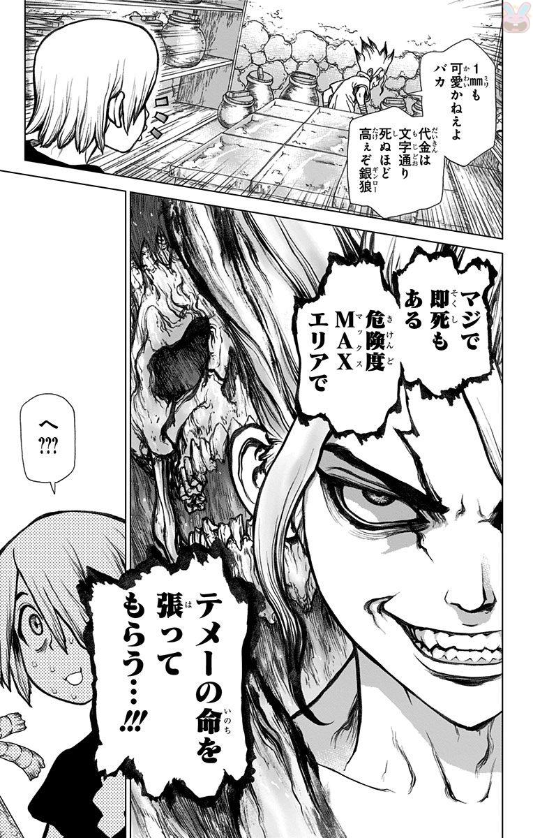 Dr. Stone - Chapter 29 - Page 18