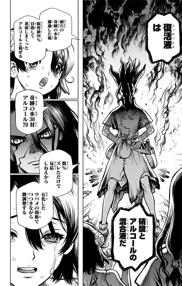 Dr. Stone - Chapter 9 - Page 14
