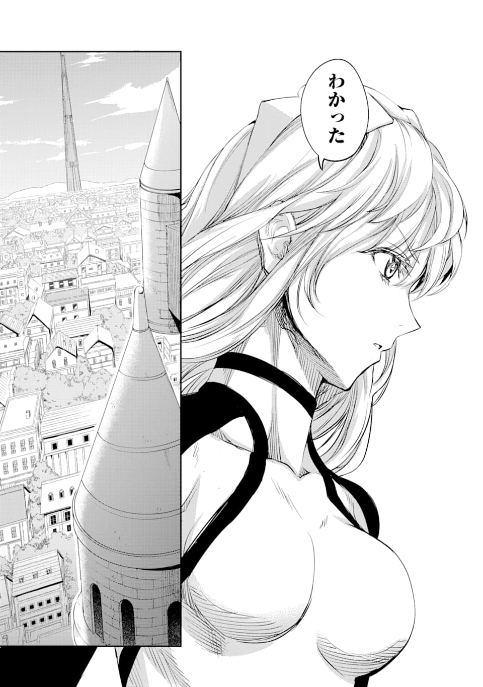 Dungeon ni Deai o Motomeru no wa Machigatte iru darou ka Gaiden - Sword Oratoria - Chapter 78 - Page 12