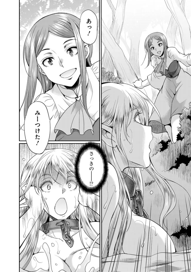 Elf Dorei to Kizuku Dungeon Harem: Isekai de Netotte Nakama wo Fuyashimasu - Chapter 10.2 - Page 5