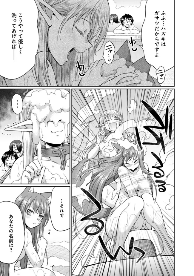 Elf Dorei to Kizuku Dungeon Harem: Isekai de Netotte Nakama wo Fuyashimasu - Chapter 14.1 - Page 7