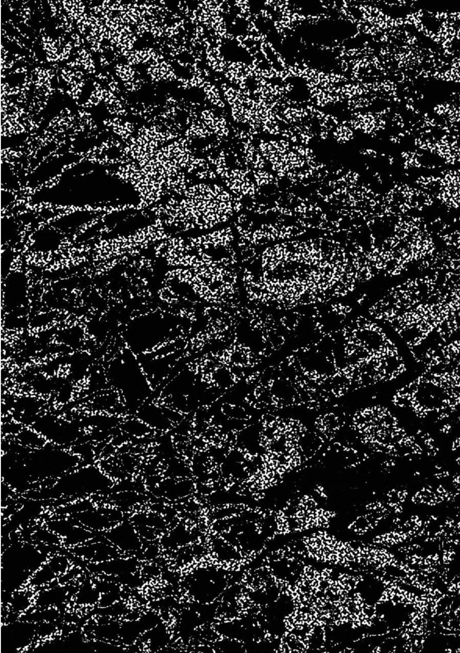 Fate Strange Fake - Chapter 19 - Page 37