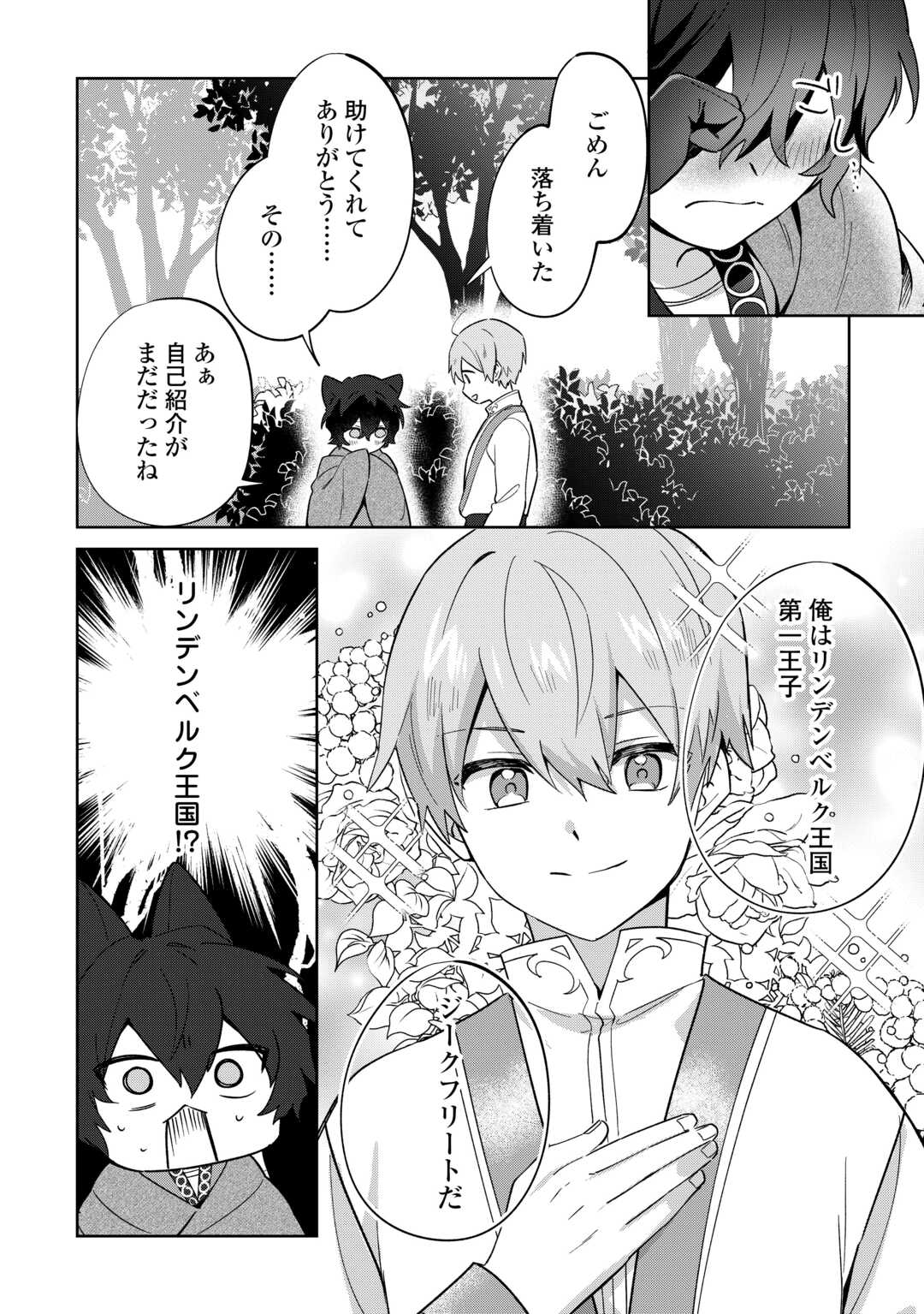 Futago no Ouji ni Futago de Konyaku shitakedo Janai Hou dakara Yami Mahou wo Kiwameru - Chapter 1 - Page 22