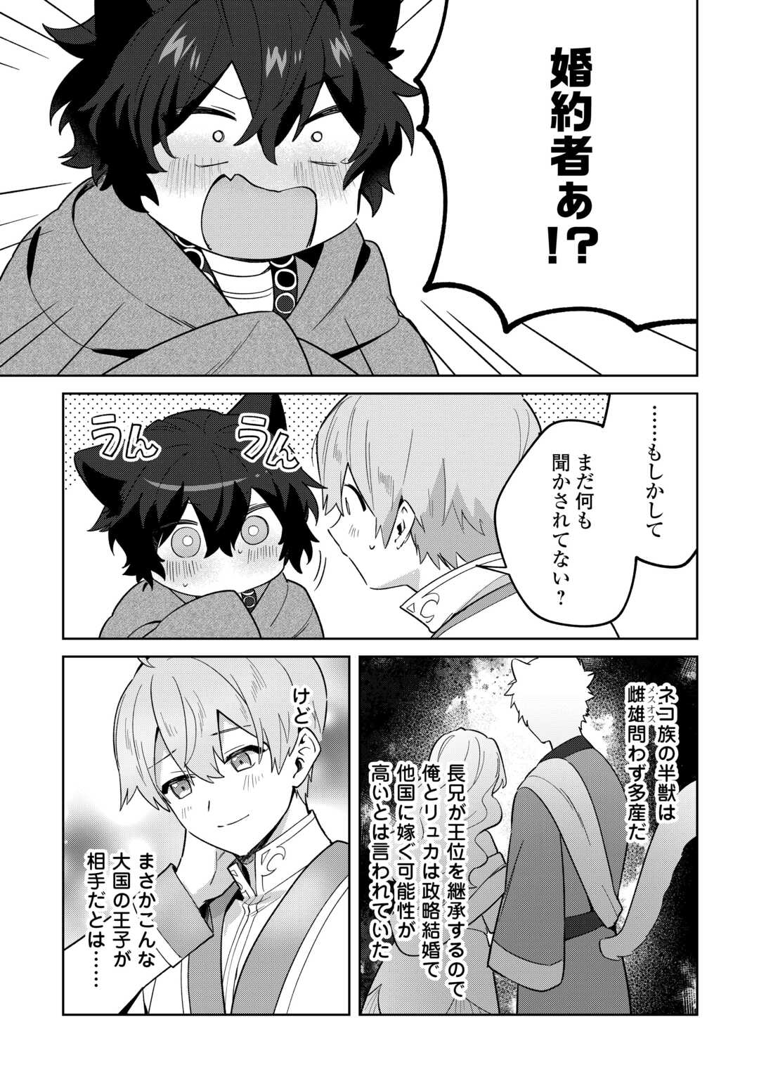 Futago no Ouji ni Futago de Konyaku shitakedo Janai Hou dakara Yami Mahou wo Kiwameru - Chapter 1 - Page 25