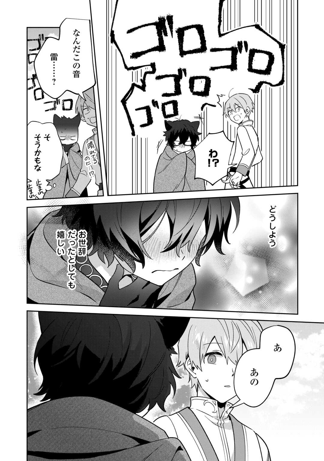 Futago no Ouji ni Futago de Konyaku shitakedo Janai Hou dakara Yami Mahou wo Kiwameru - Chapter 1 - Page 28