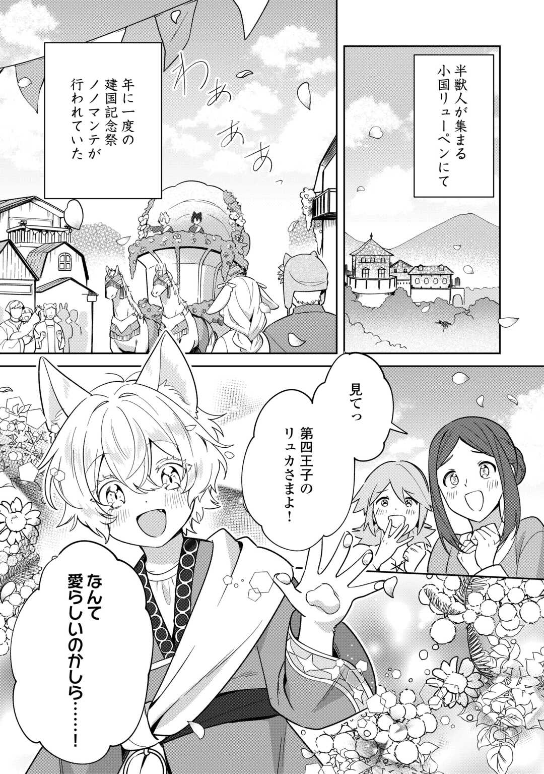 Futago no Ouji ni Futago de Konyaku shitakedo Janai Hou dakara Yami Mahou wo Kiwameru - Chapter 1 - Page 4