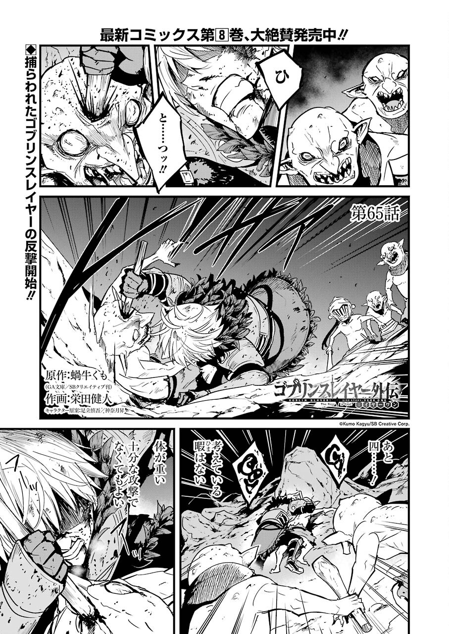 Goblin Slayer: Side Story Year One - Chapter 65 - Page 1