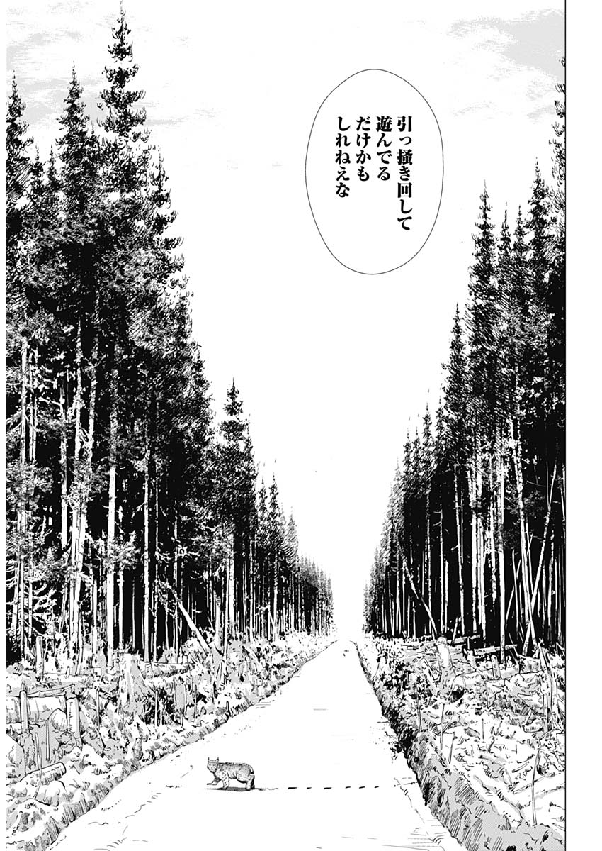 Golden Kamui - Chapter 203 - Page 12