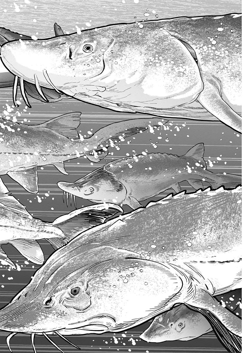 Golden Kamui - Chapter 237 - Page 12