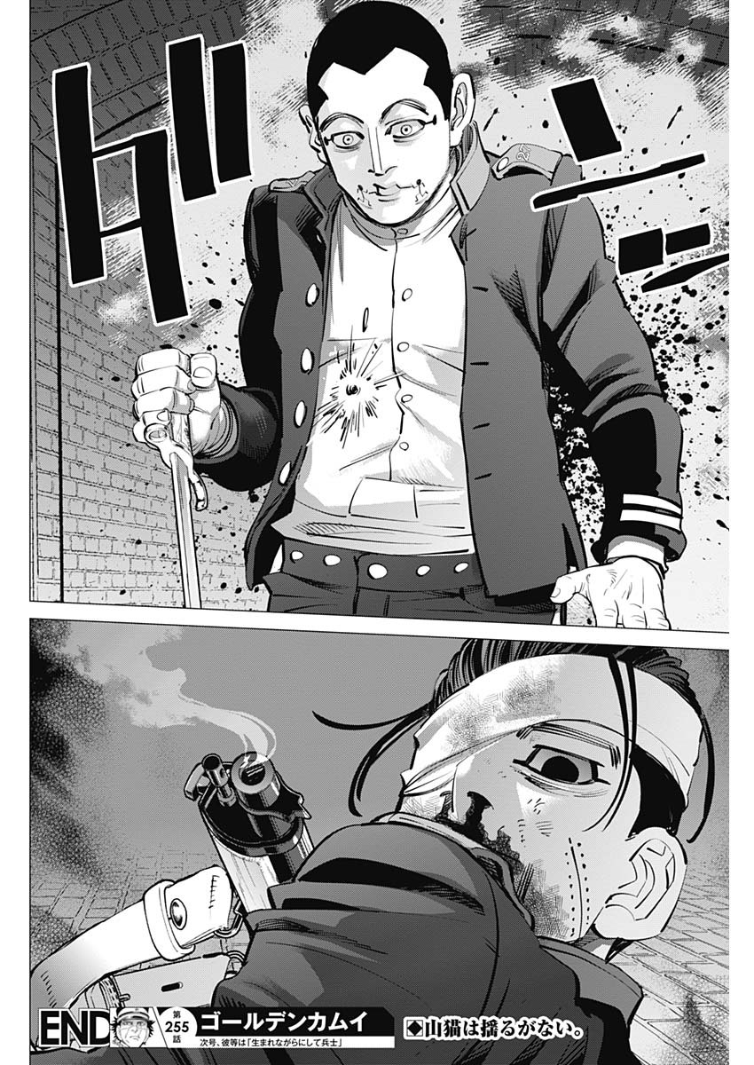 Golden Kamui - Chapter 255 - Page 18