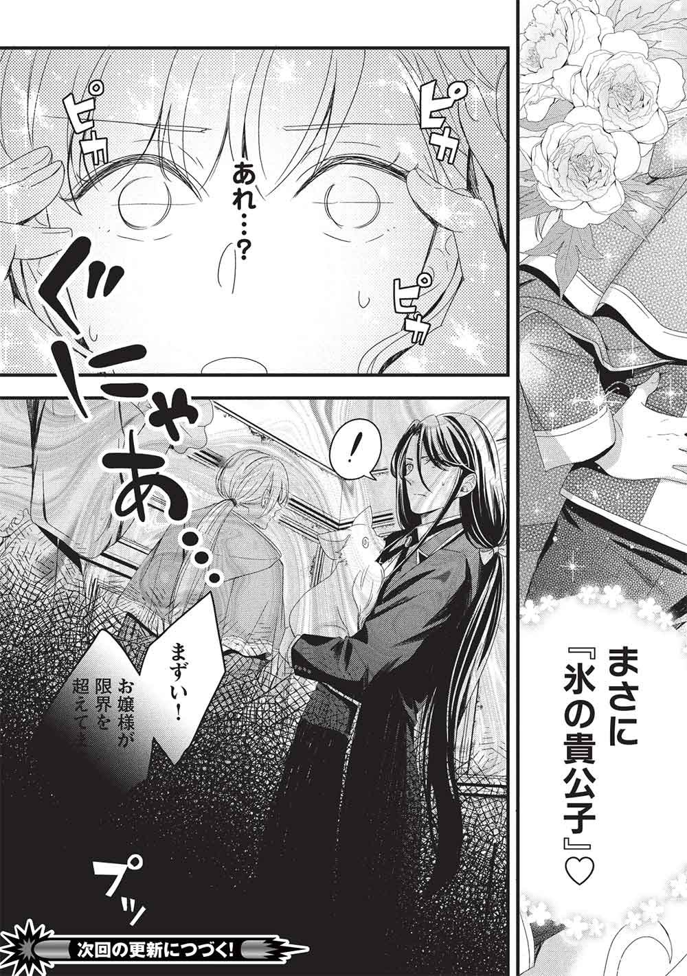 Grand Avail - Omamori no Madoushi wa Saioshi Last Boss Onii-sama wo Sukuitai - Chapter 29 - Page 33