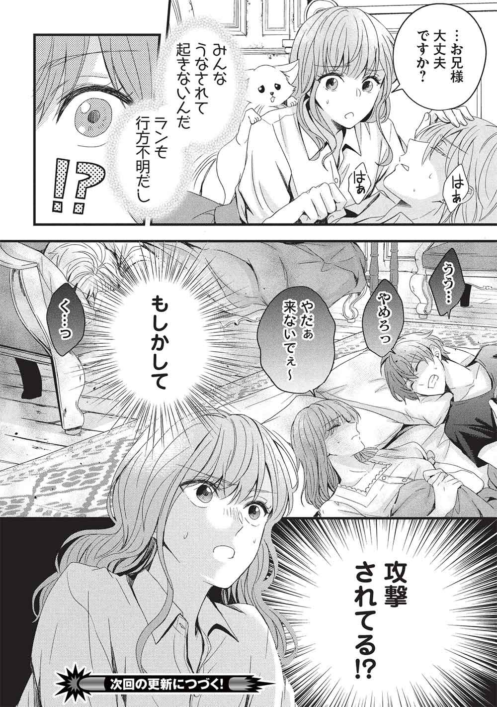 Grand Avail - Omamori no Madoushi wa Saioshi Last Boss Onii-sama wo Sukuitai - Chapter 30 - Page 28