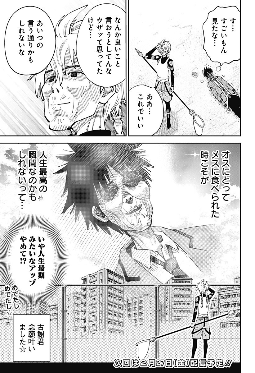 Gunze Arabaki's Magnificently Maniacal Menagerie! - Chapter 18 - Page 17