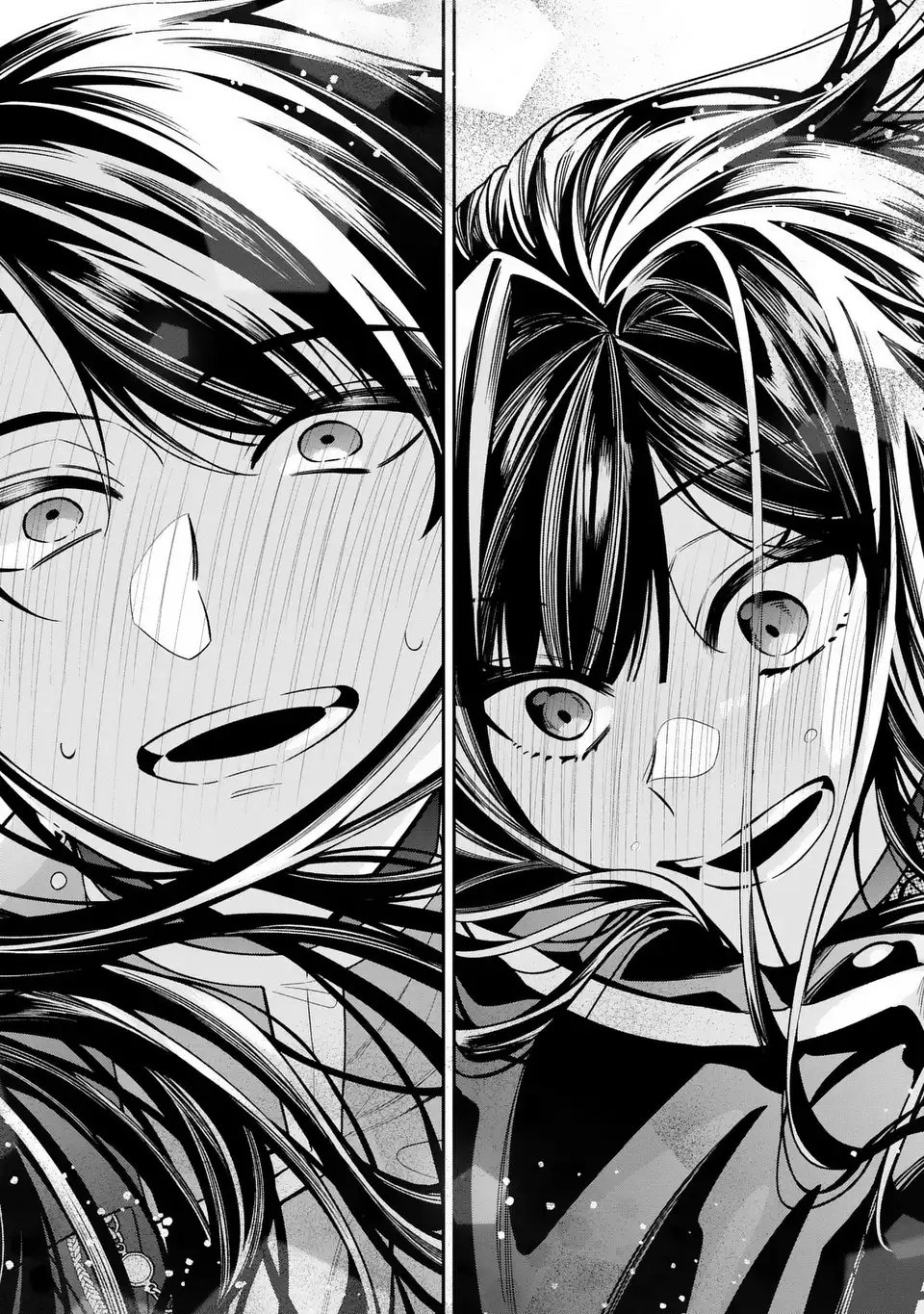 Gyakkou Akujo wa Yarukoto ga Oosugiru - Chapter 6 - Page 24