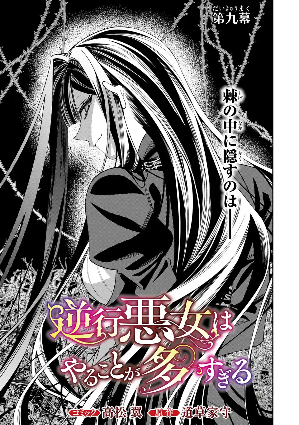 Gyakkou Akujo wa Yarukoto ga Oosugiru - Chapter 9 - Page 1