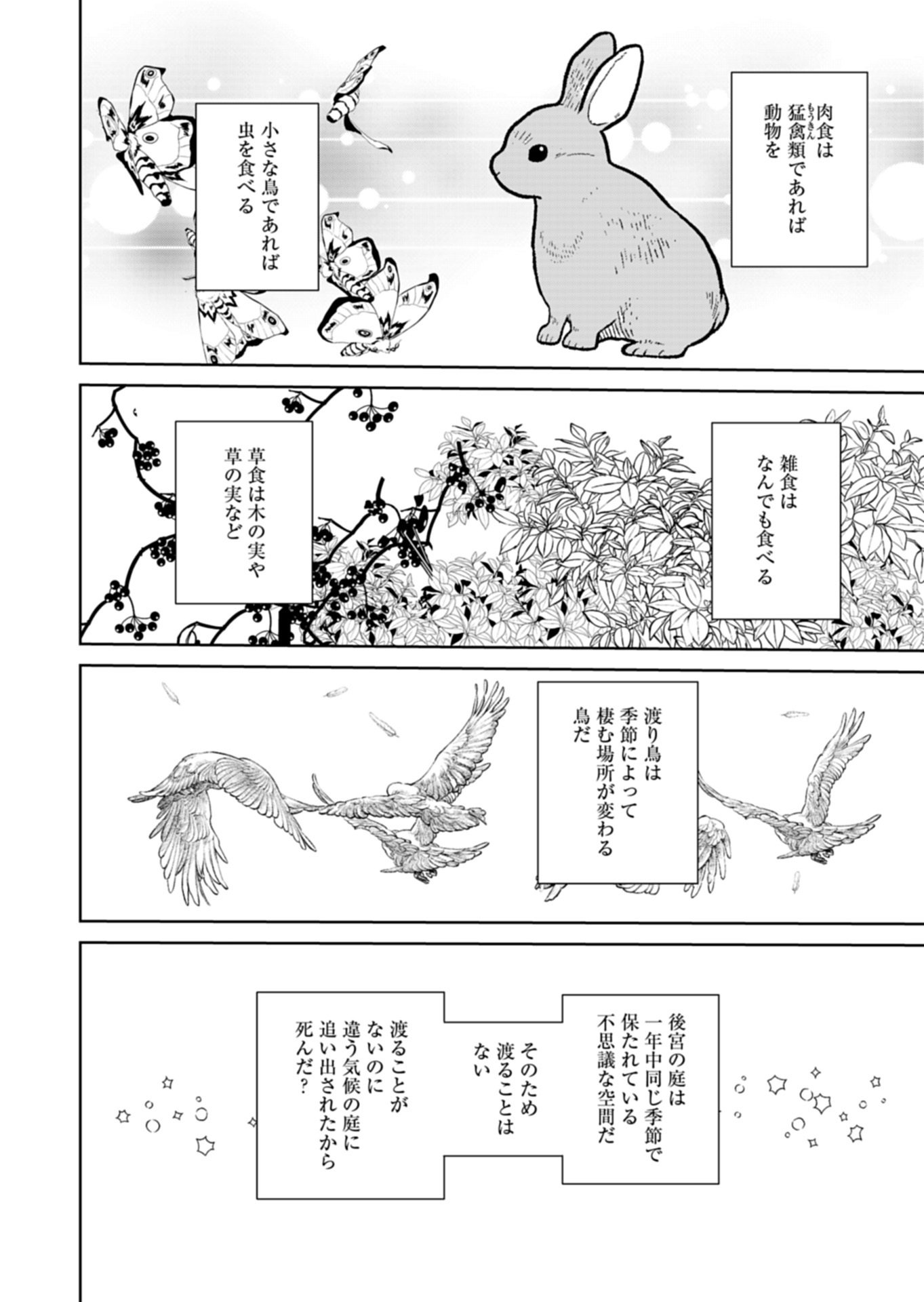 Hachi Irodori Koku no Koukyuu Monogatari - Chapter 11.2 - Page 3