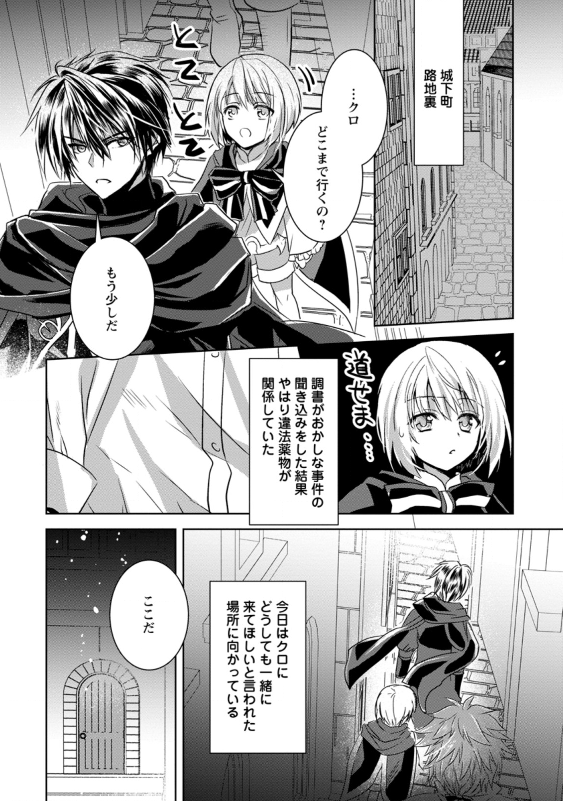 Herscherik - Tensei Ouji no Eiyuutan - Chapter 11.3 - Page 8