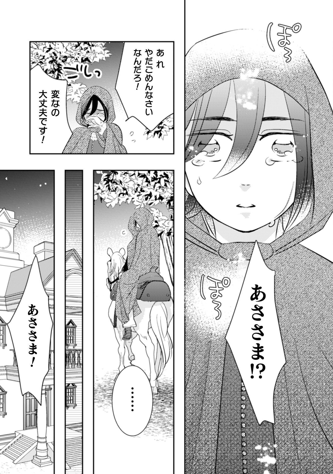 Hikikomori Joshi wa Isekai Shoukansarete Megami to naru ~Reikoku Ouji no Kisaki nante Okotowaridesu!~ - Chapter 10 - Page 27
