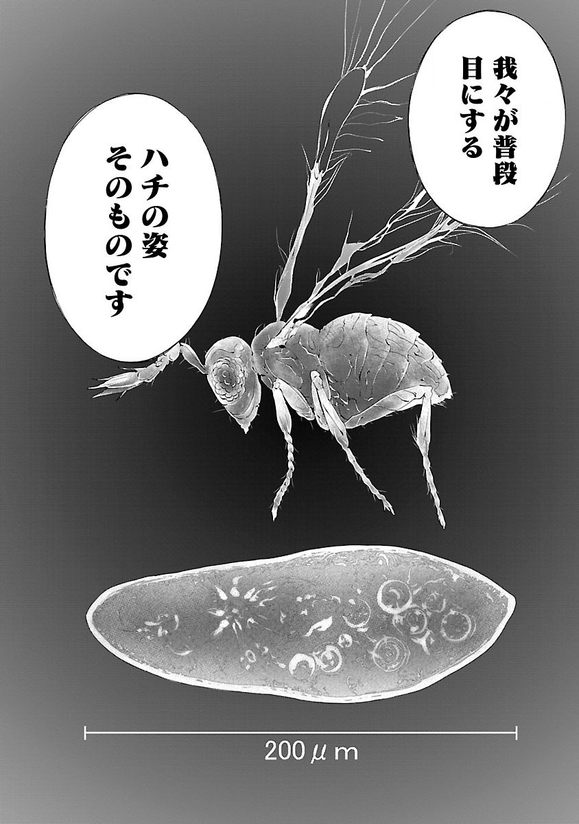 Himenospia - Chapter 2 - Page 4