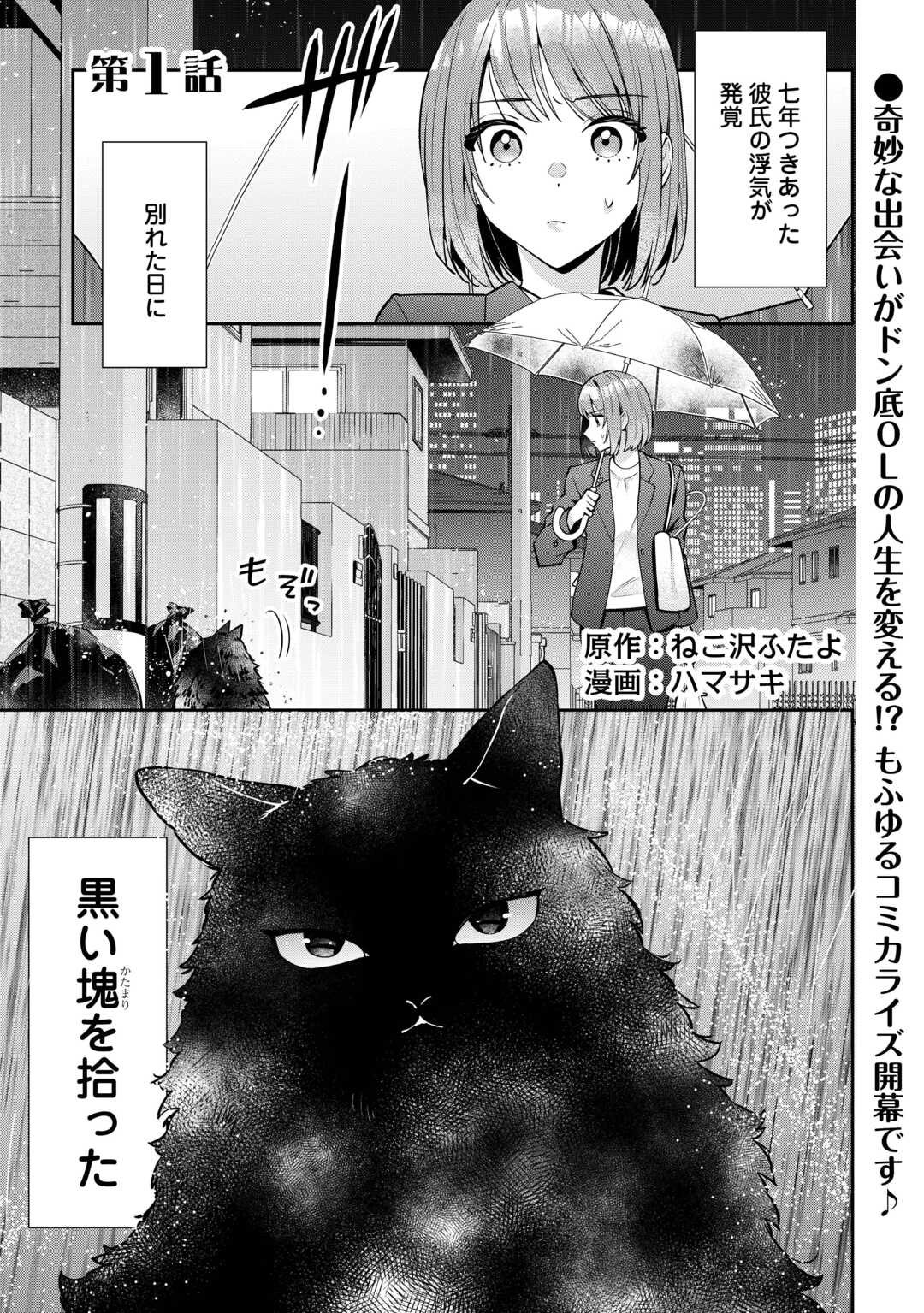 Hirotta no ga Hontou ni Neko ka wa Utagawashii - Chapter 1 - Page 1
