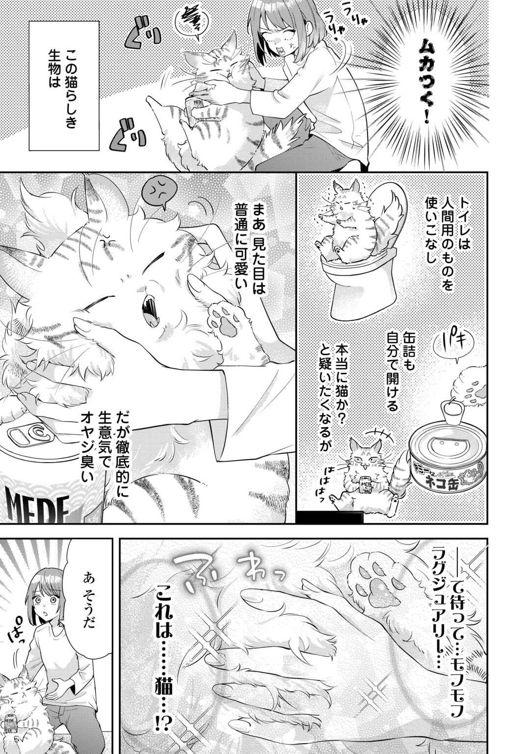 Hirotta no ga Hontou ni Neko ka wa Utagawashii - Chapter 1 - Page 27