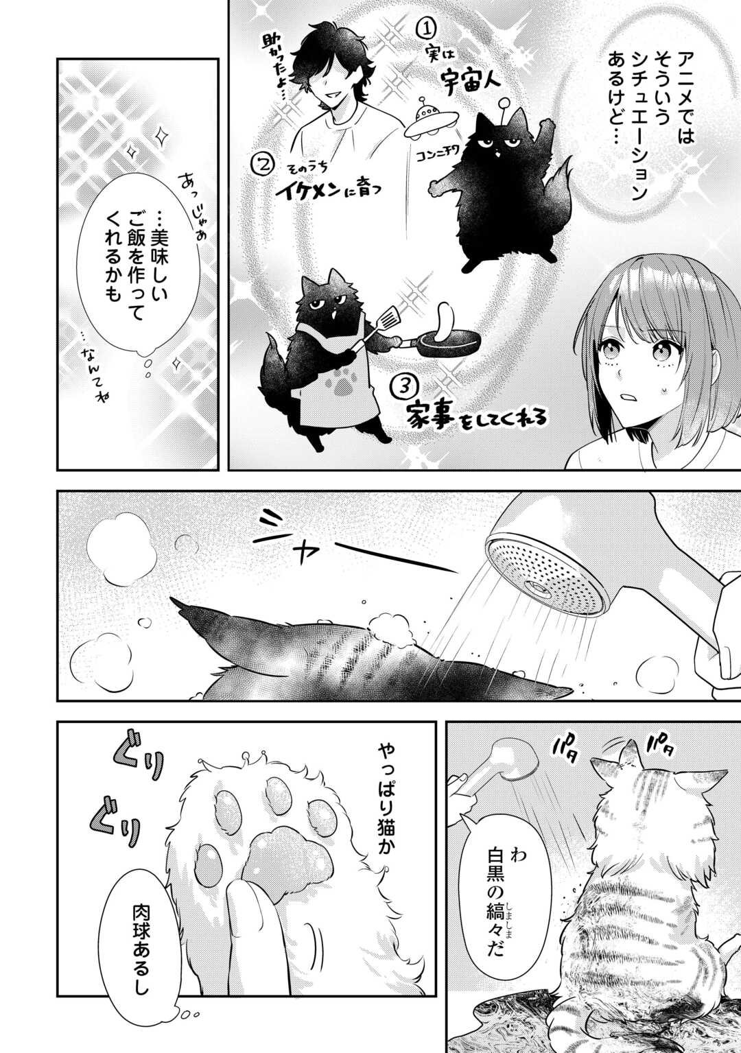 Hirotta no ga Hontou ni Neko ka wa Utagawashii - Chapter 1 - Page 4