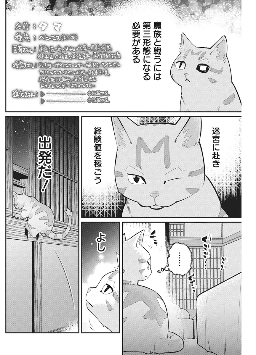 S-Rank Monster no "Behemoth" Dakedo, Neko to Machigawarete Elf Musume no Pet to Shite Kurashitemasu - Chapter 87 - Page 13