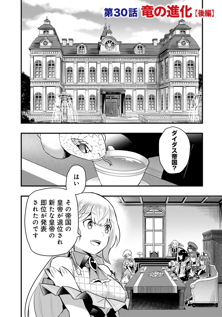 Isekai de Teimu Shita Saikyou no Tsukaima wa, Osananajimi no Bishoujo deshita - Chapter 30.2 - Page 1