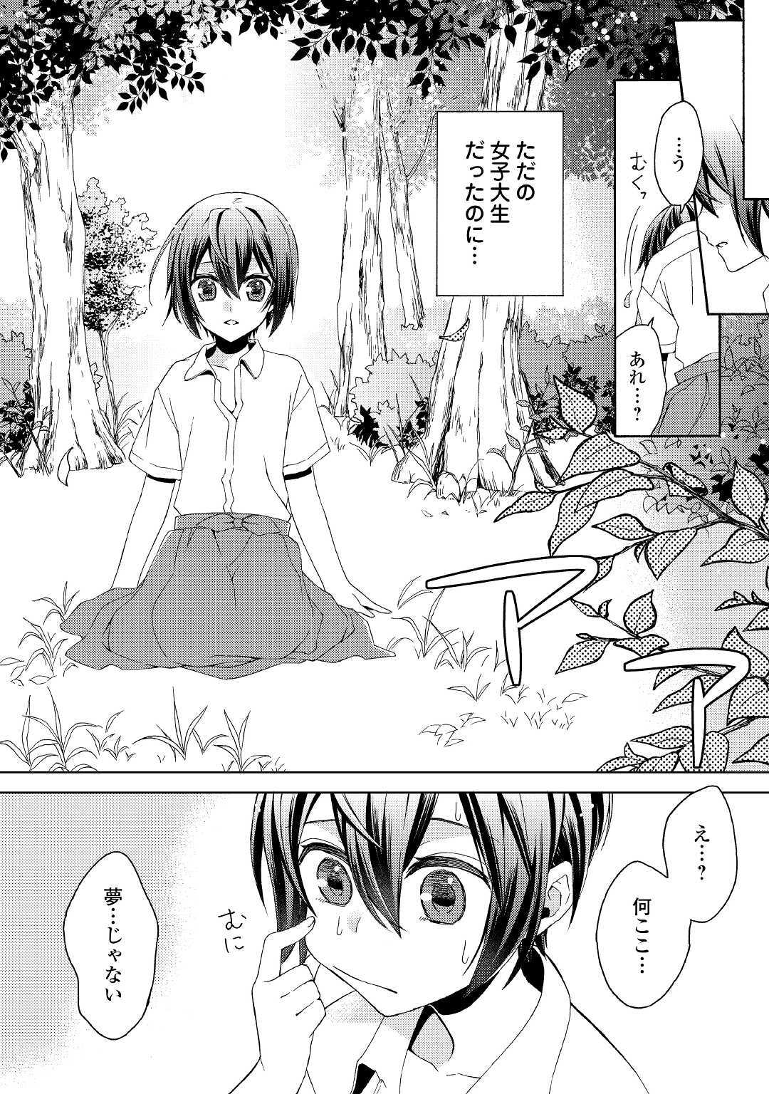 Isekai de Yojo-ka Shitanode Yojo ni Nattari Shokikan ni Nattari Shimasu - Chapter 1 - Page 4