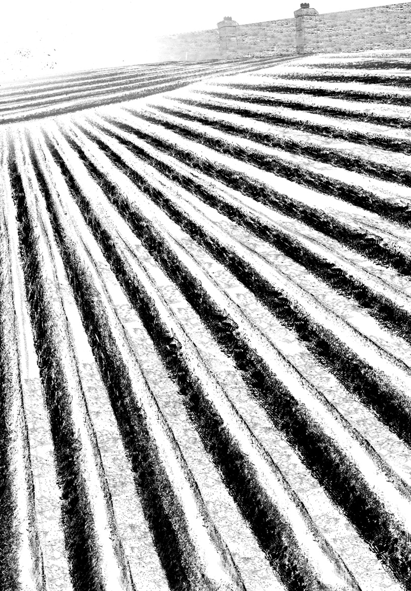 Isekai desu ga Mamono Saibai shiteimasu. - Chapter 17 - Page 29