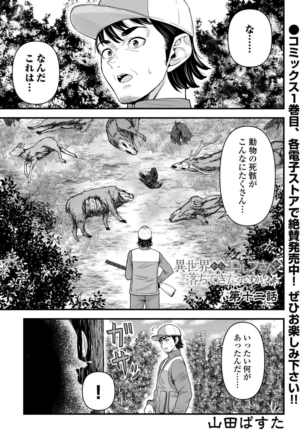 Isekai kara Elf-san ga Ochite Kita no desu ga!? Chap 12 - Next Chap 13