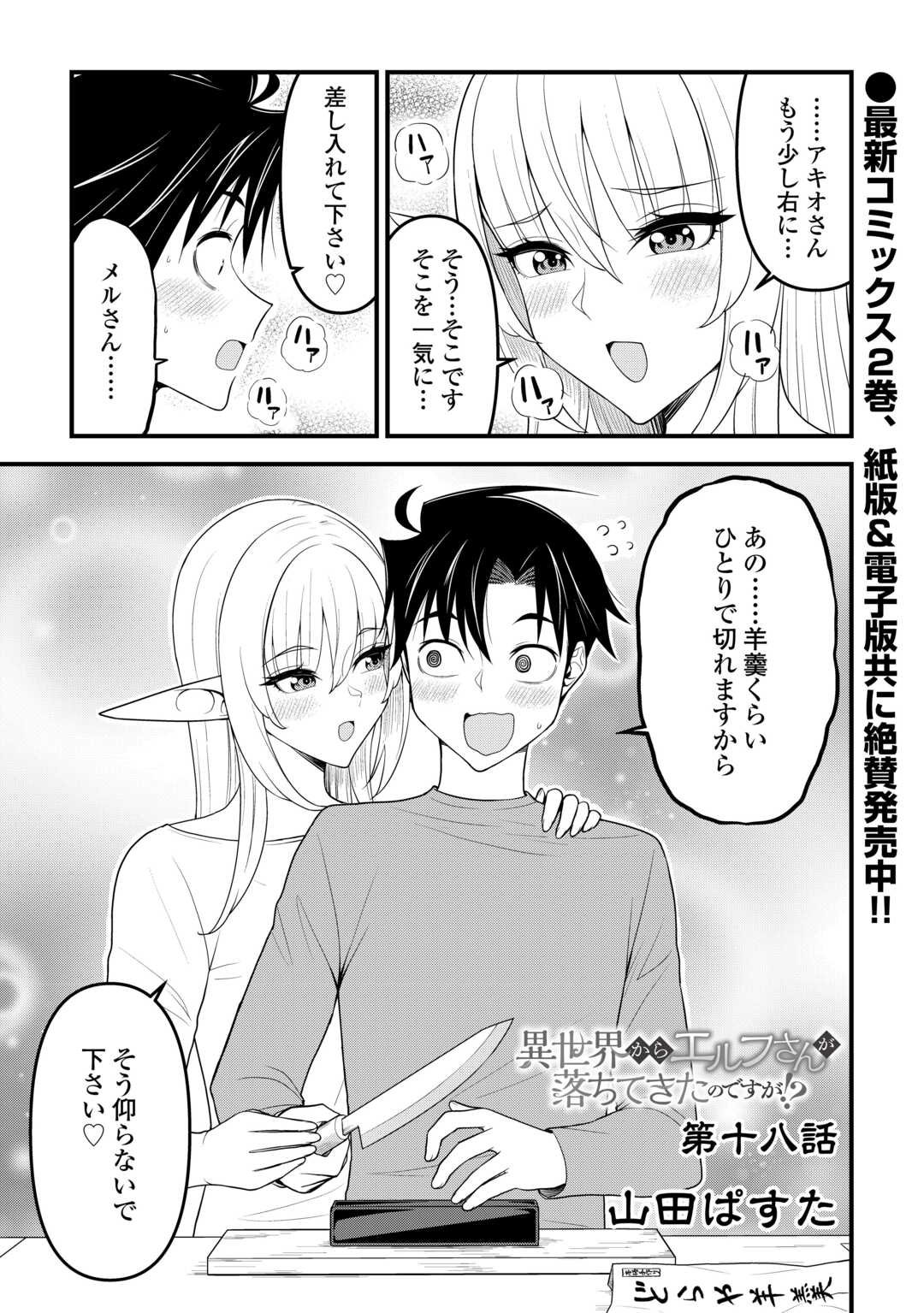 Isekai kara Elf-san ga Ochite Kita no desu ga!? - Chapter 18 - Page 1