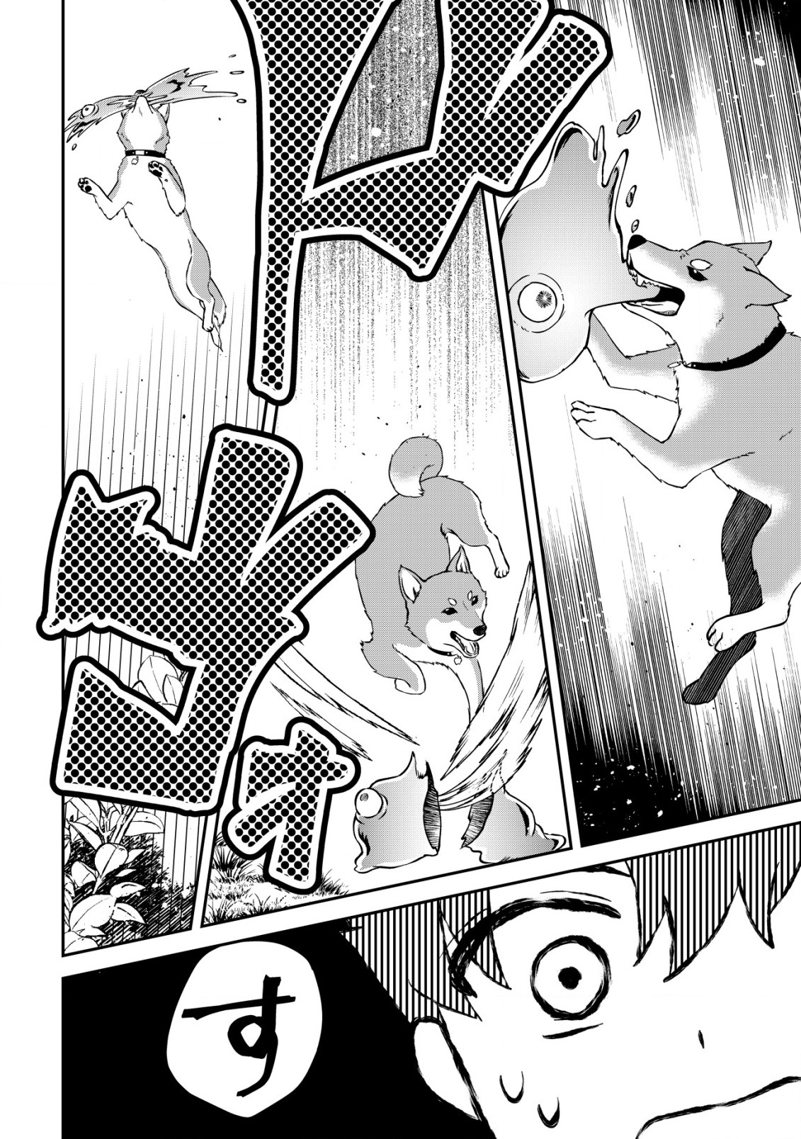 Isekai Tensei Shitara Aiken Beth no Hou ga Tsuyokattandaga - Chapter 1 - Page 17