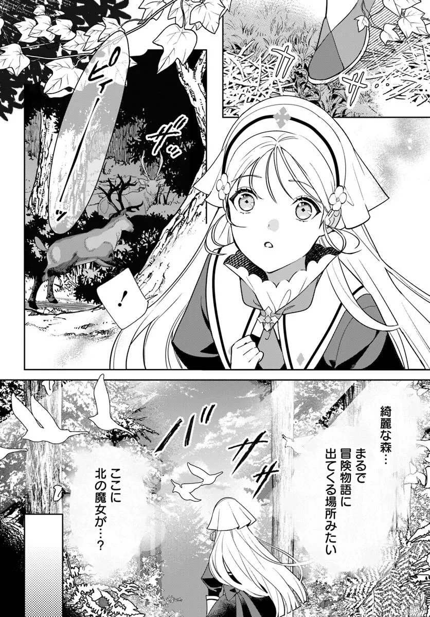 Itsuwari Seijo wa Nemuranai Kaizoku no Dakimakura ni Narimashita - Chapter 6.1 - Page 2