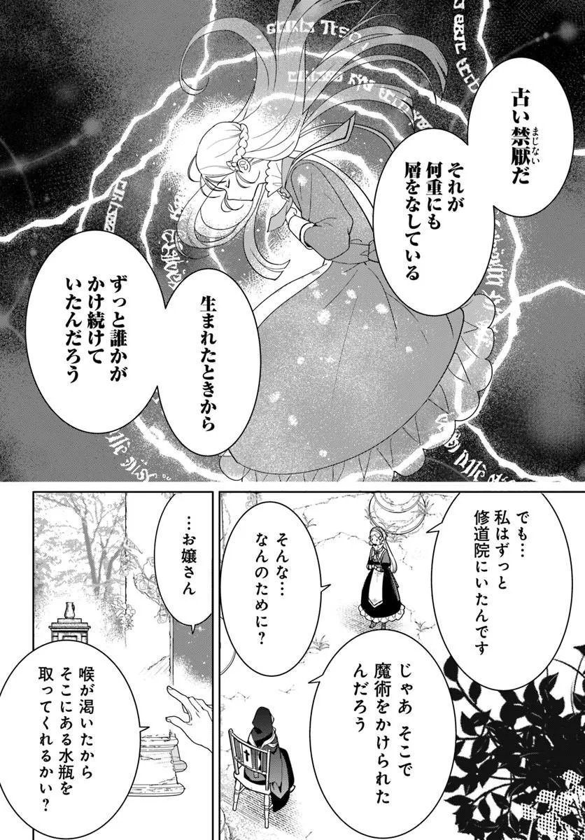 Itsuwari Seijo wa Nemuranai Kaizoku no Dakimakura ni Narimashita - Chapter 6.2 - Page 3