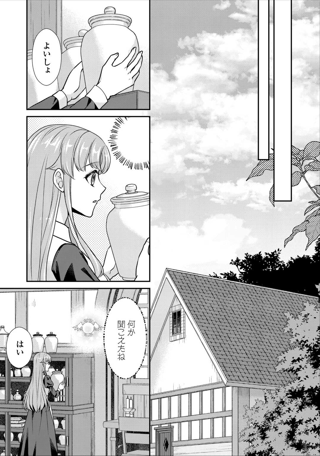 Jimi Kusushi Reijou wa mou Keiyaku Koushinita Shimasen. Zamaa? Botsuraku? Watashi ni wa Kankei Nai Koto Desu - Chapter 11 - Page 7