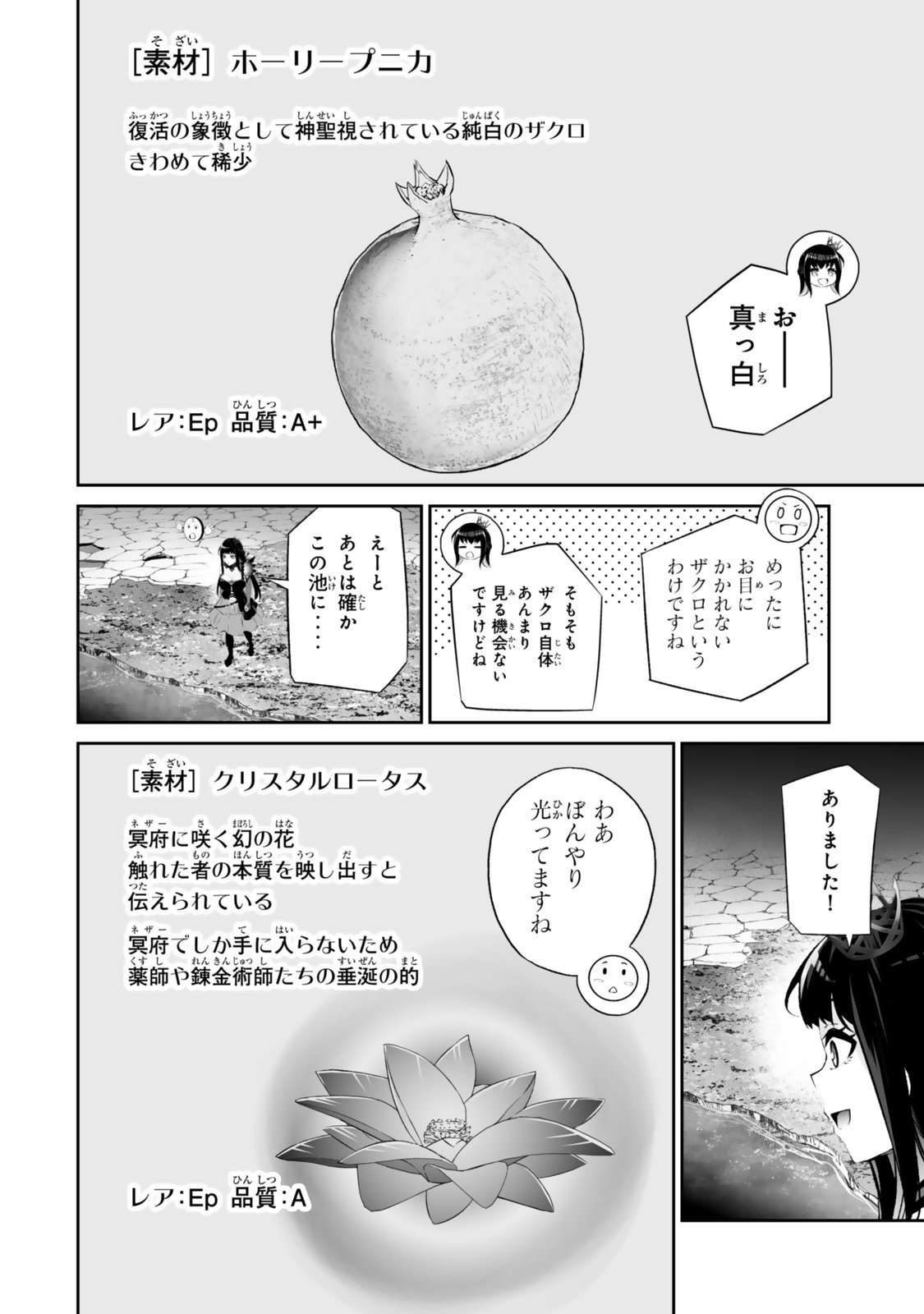 Immortal Princess, Hajimemashita: Free Life Fantasy Online Chap 64.1 - Next Chap 65.1