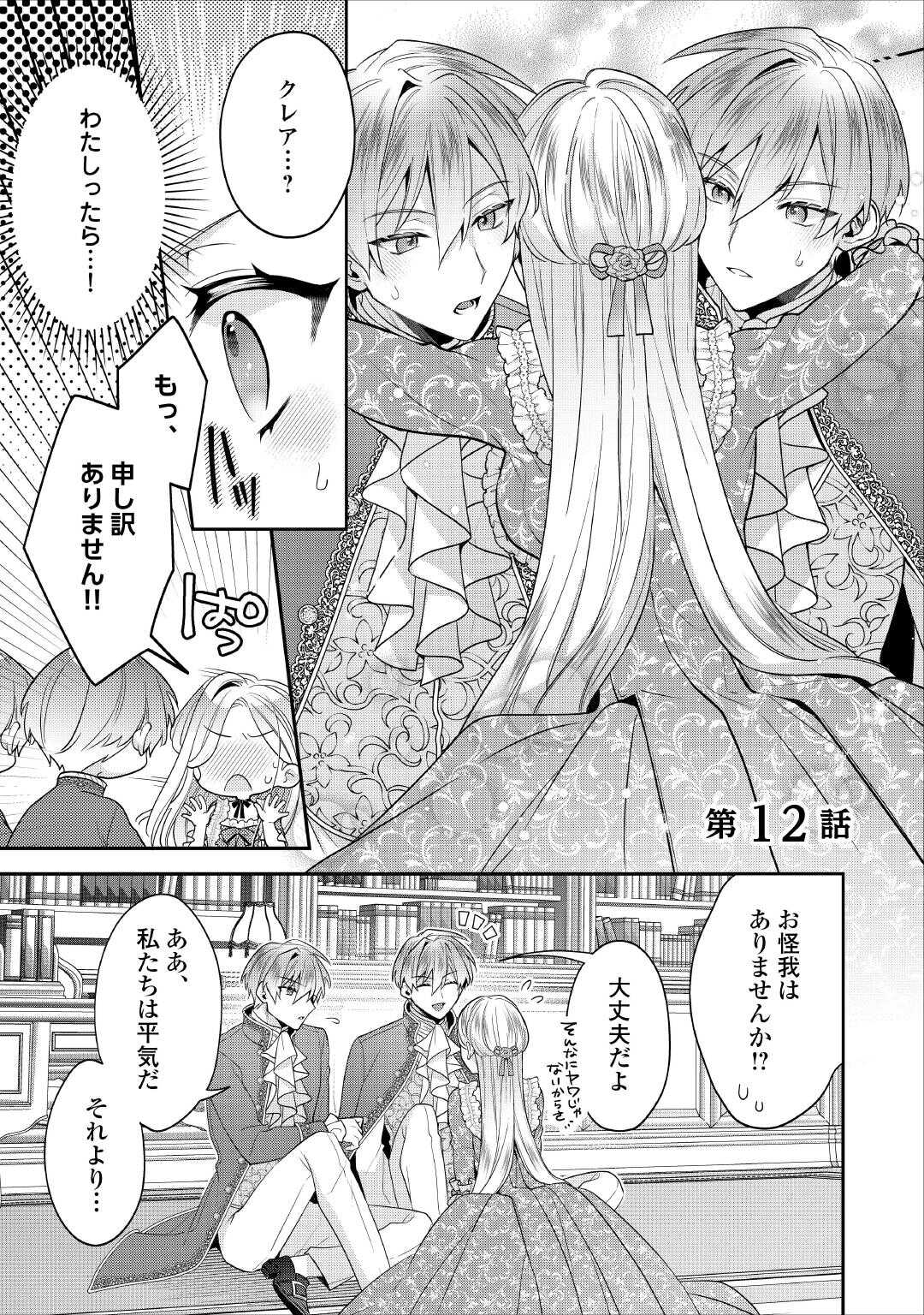 Juukon Nante Okotowari! Zettai ni Futago no Ouji wo Miwakete misemasu! - Chapter 12 - Page 1