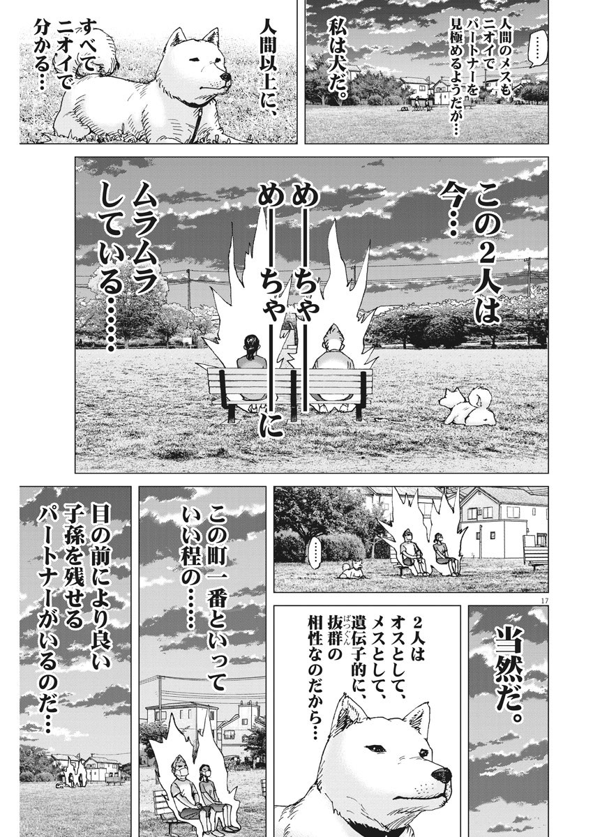 Kekkon Afro Tanaka - Chapter 79 - Page 17