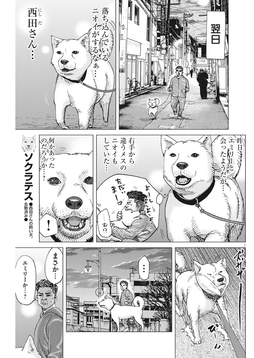 Kekkon Afro Tanaka - Chapter 91 - Page 7